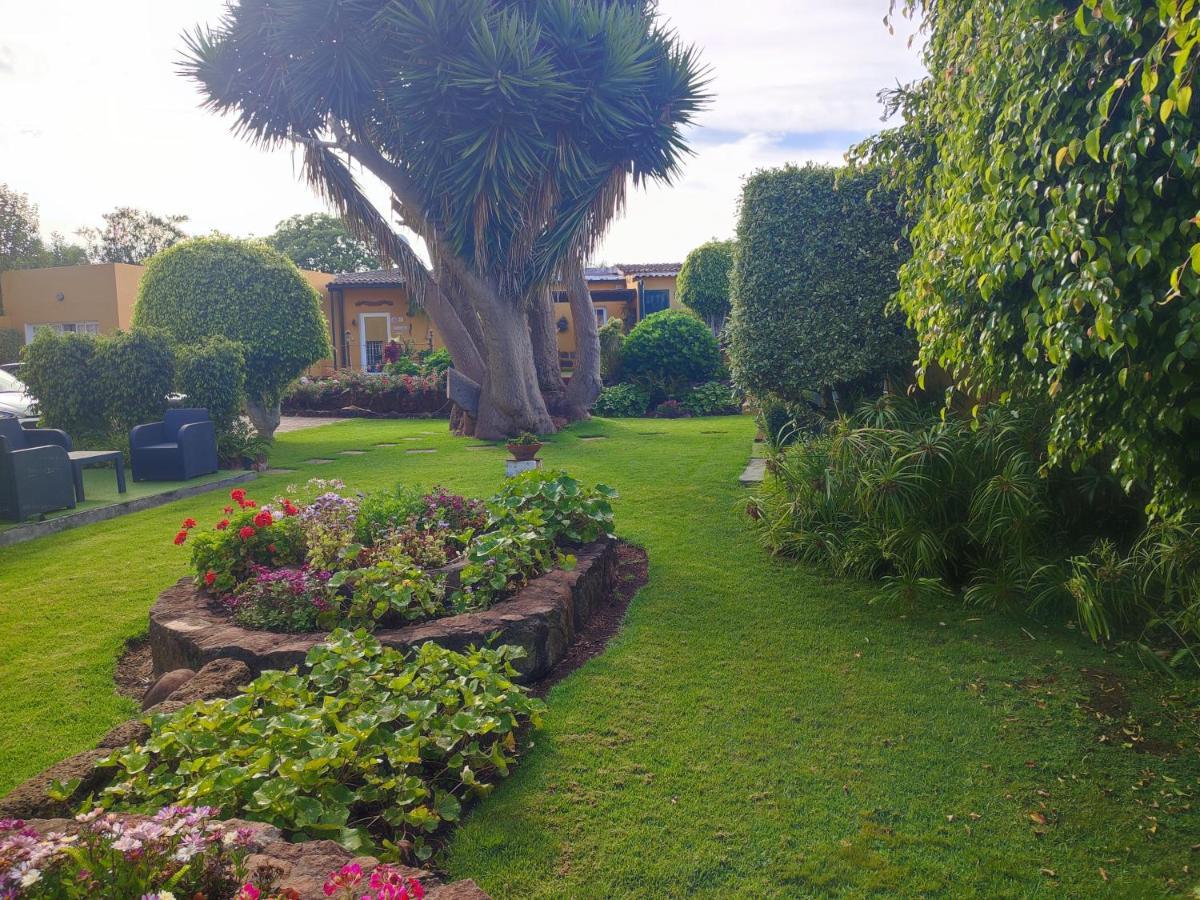 La Chimenea Verde Tacoronte Eksteriør billede