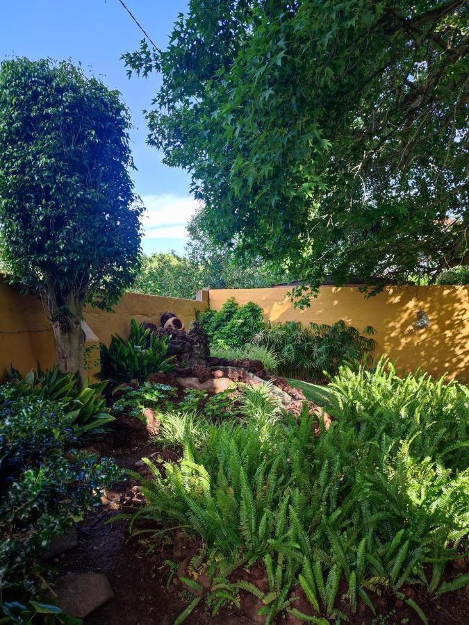 La Chimenea Verde Tacoronte Eksteriør billede